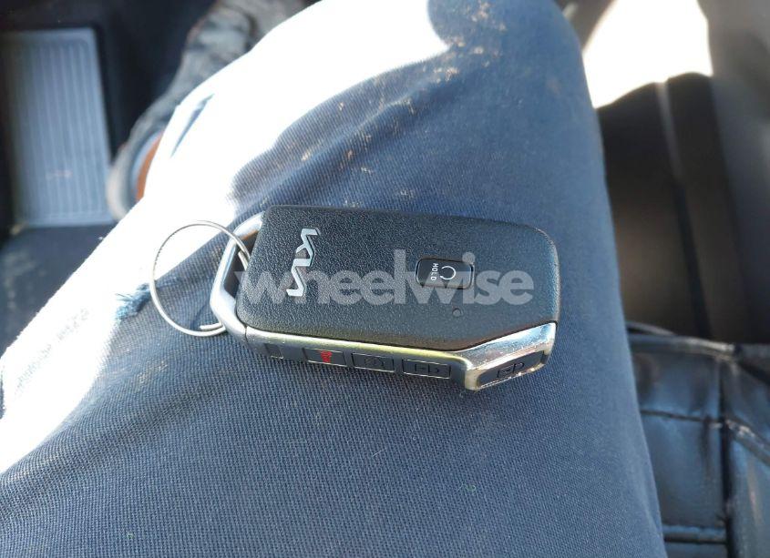 Photo 11 of 2022 Kia Telluride SX (VIN 5XYP5DHC0NG318871)