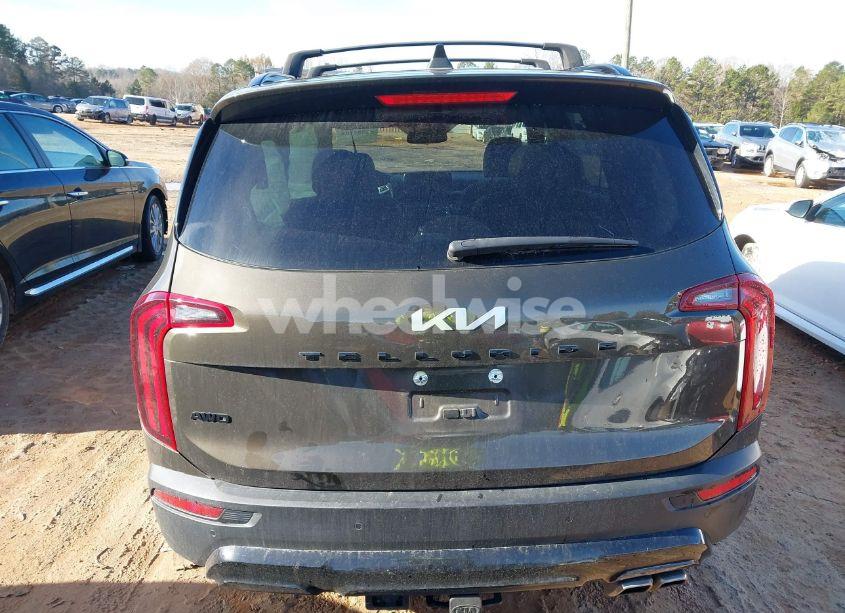 Photo 16 of 2022 Kia Telluride SX (VIN 5XYP5DHC0NG318871)
