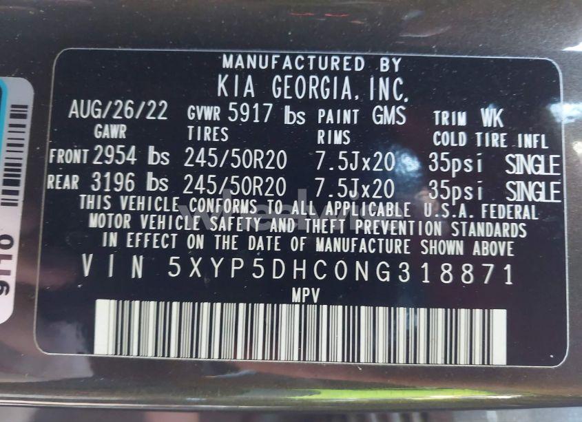 Photo 9 of 2022 Kia Telluride SX (VIN 5XYP5DHC0NG318871)