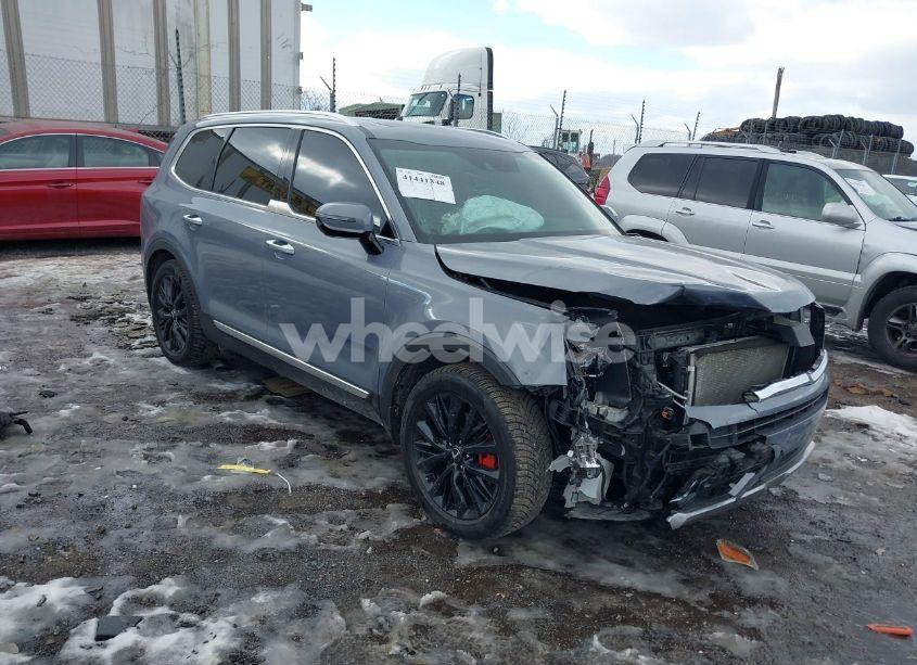 2020 Kia Telluride SX (VIN 5XYP5DHC1LG080073) main photo