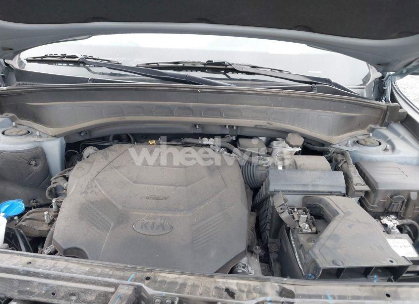 Photo 10 of 2020 Kia Telluride SX (VIN 5XYP5DHC1LG080073)