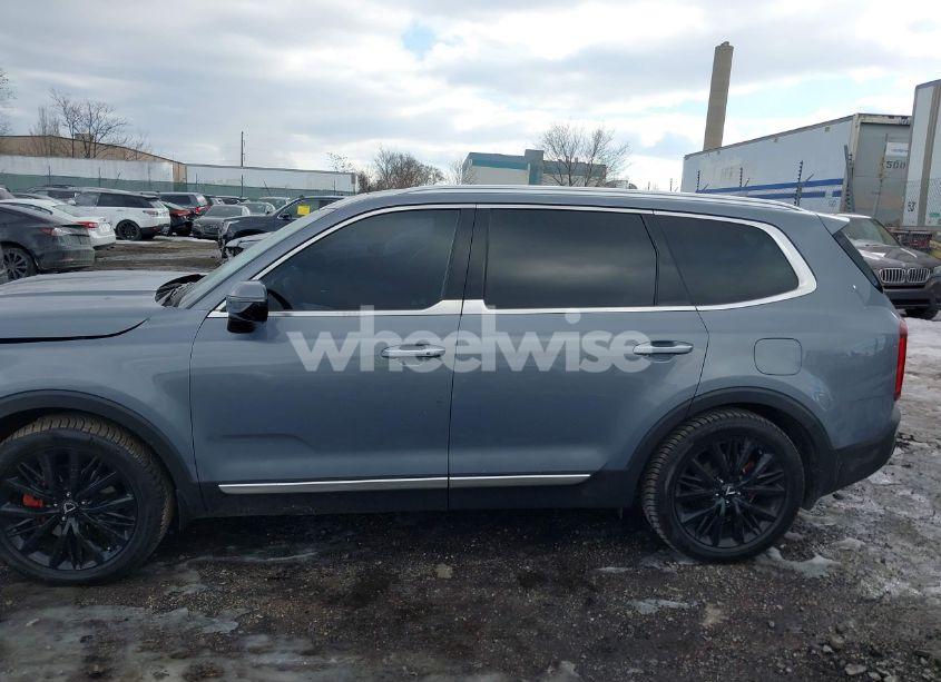 Photo 14 of 2020 Kia Telluride SX (VIN 5XYP5DHC1LG080073)