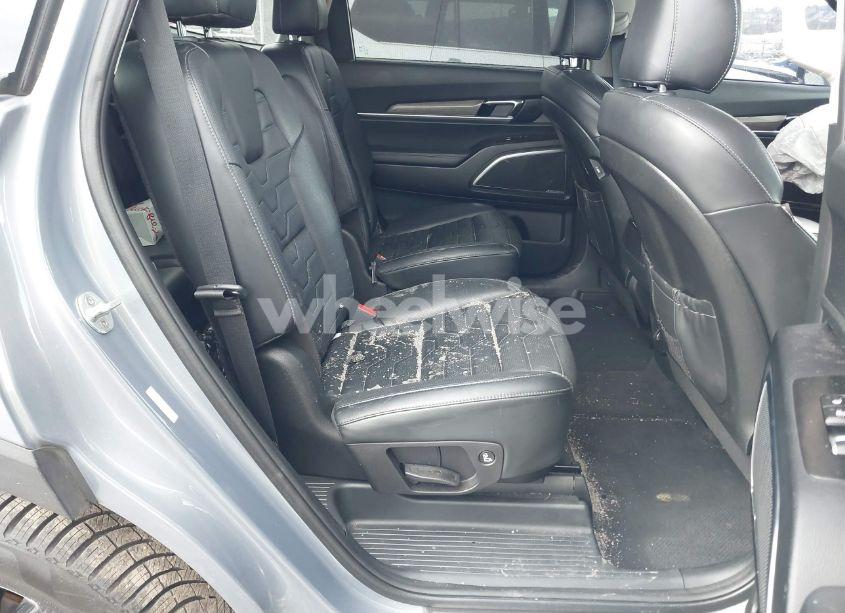 Photo 8 of 2020 Kia Telluride SX (VIN 5XYP5DHC1LG080073)