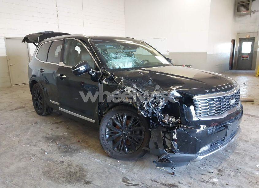 2021 Kia Telluride SX (VIN 5XYP5DHC1MG110481) main photo