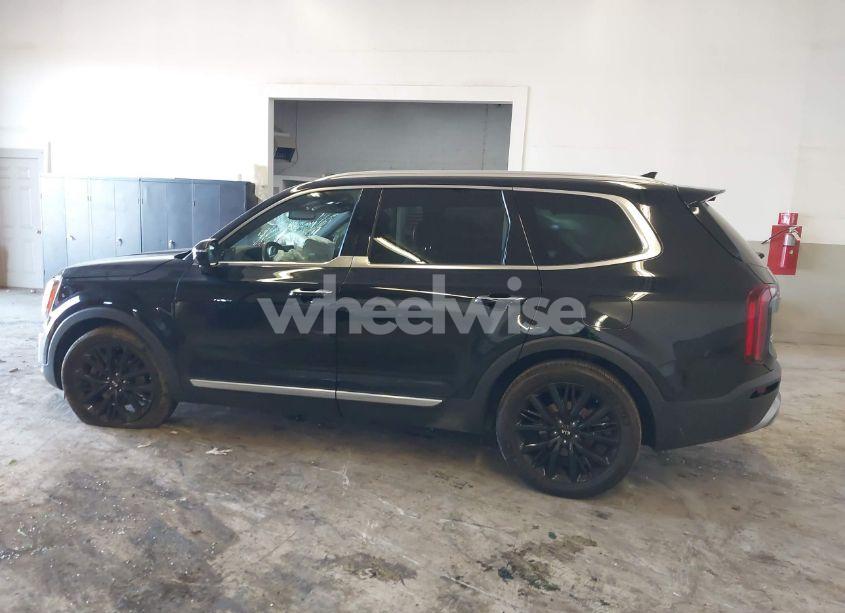 Photo 14 of 2021 Kia Telluride SX (VIN 5XYP5DHC1MG110481)