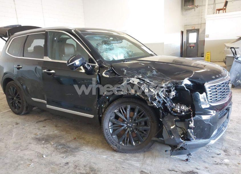 Photo 6 of 2021 Kia Telluride SX (VIN 5XYP5DHC1MG110481)