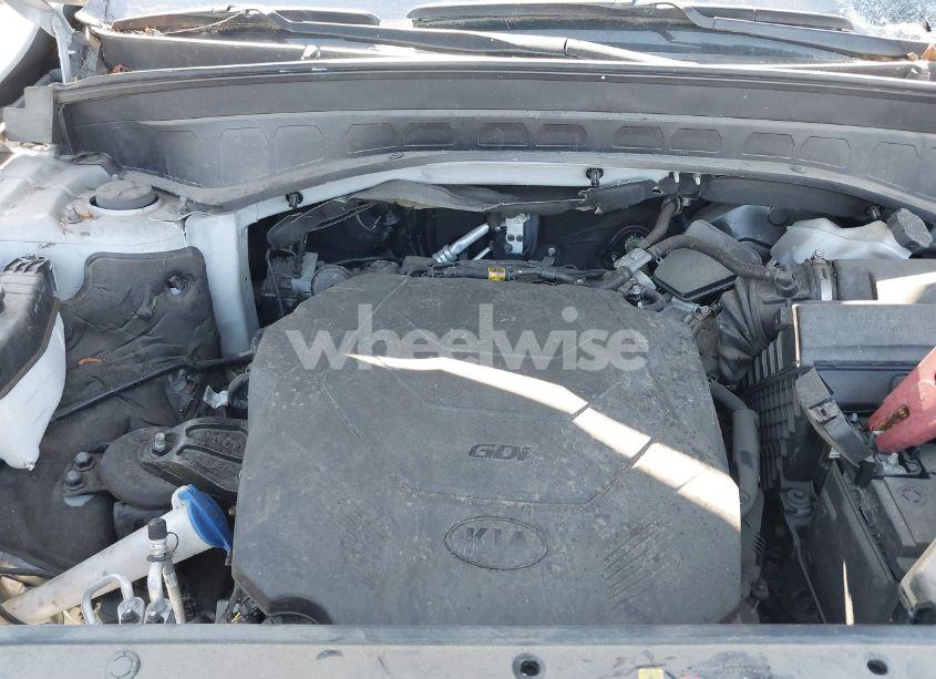 Photo 10 of 2021 Kia Telluride SX (VIN 5XYP5DHC1MG152035)