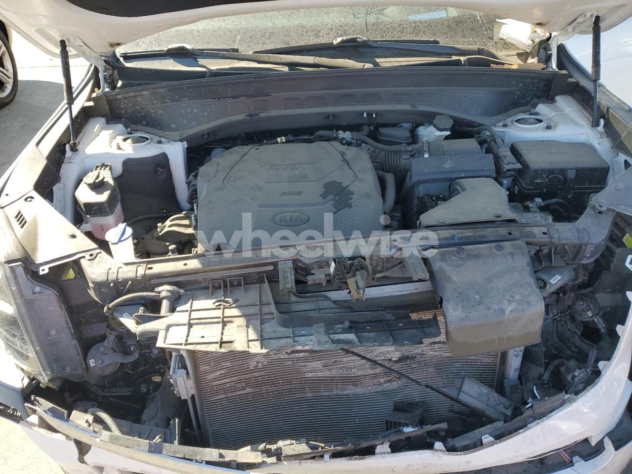 Photo 12 of 2021 KIA TELLURIDE SX (VIN 5XYP5DHC1MG165089)