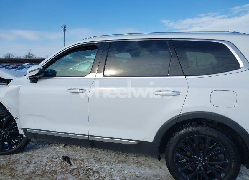 Photo 14 of 2021 Kia Telluride SX (VIN 5XYP5DHC1MG172706)