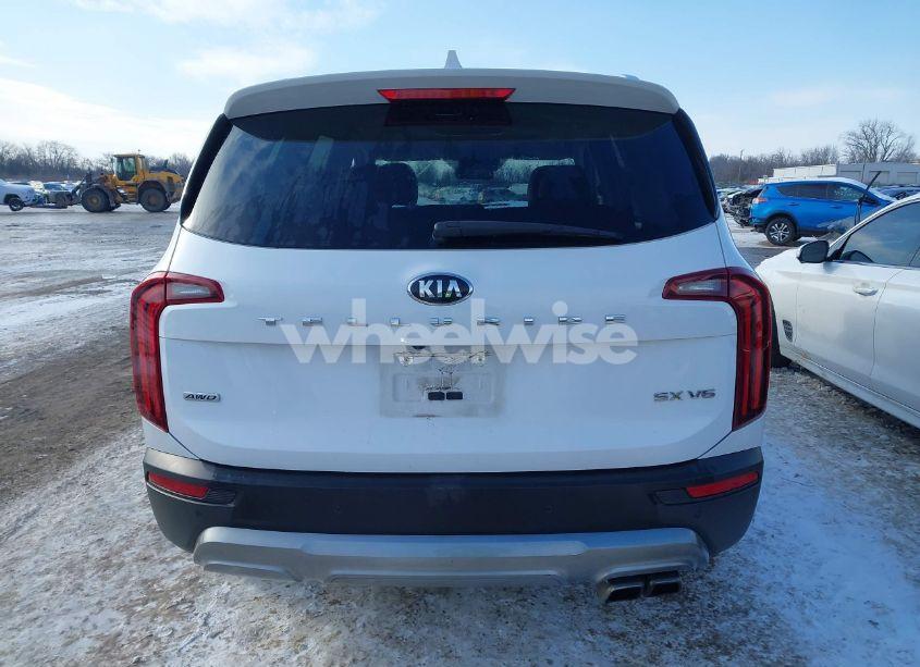 Photo 16 of 2021 Kia Telluride SX (VIN 5XYP5DHC1MG172706)