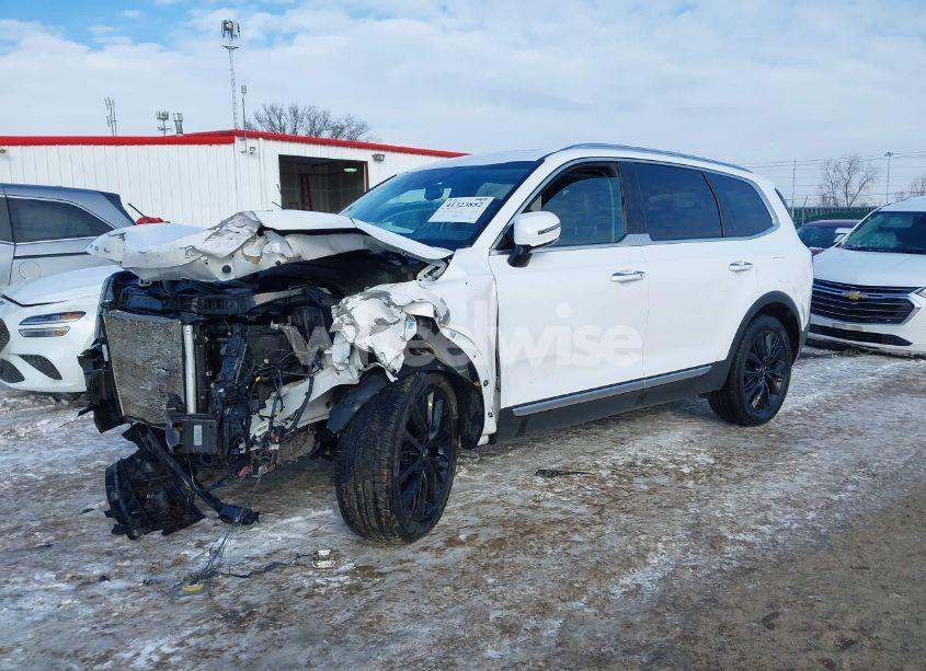 Photo 2 of 2021 Kia Telluride SX (VIN 5XYP5DHC1MG172706)