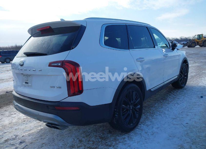 Photo 4 of 2021 Kia Telluride SX (VIN 5XYP5DHC1MG172706)