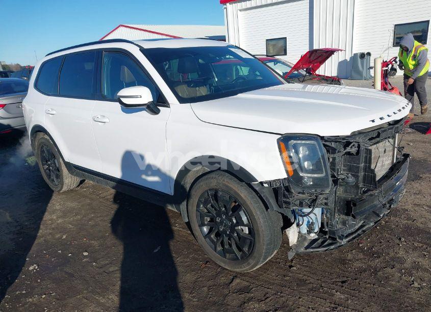 2022 Kia Telluride SX (VIN 5XYP5DHC1NG206354) main photo