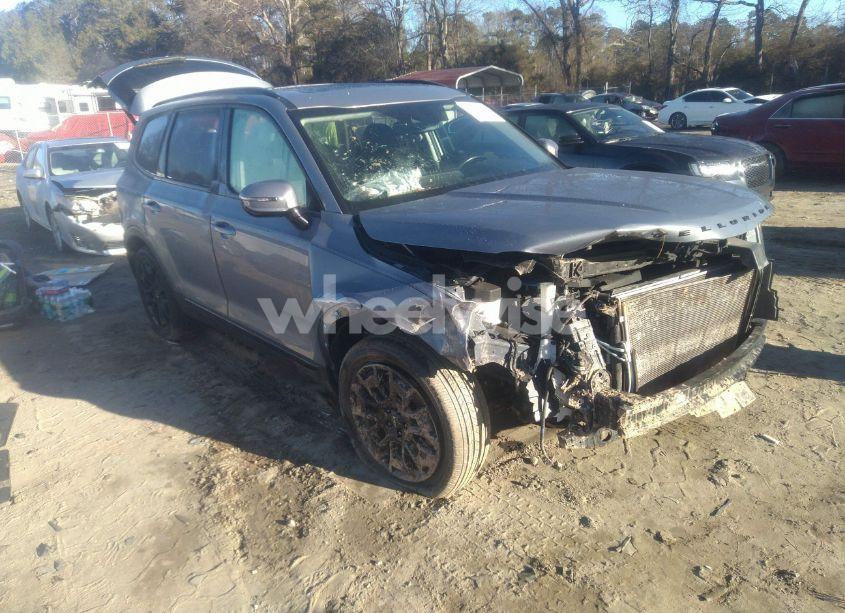 2022 Kia Telluride SX (VIN 5XYP5DHC1NG230900) main photo