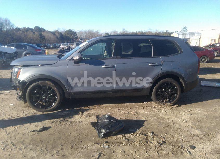 Photo 15 of 2022 Kia Telluride SX (VIN 5XYP5DHC1NG230900)