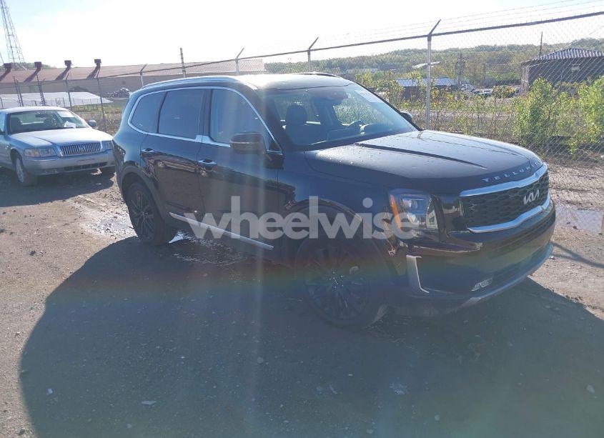 2022 Kia Telluride SX (VIN 5XYP5DHC1NG285427) main photo