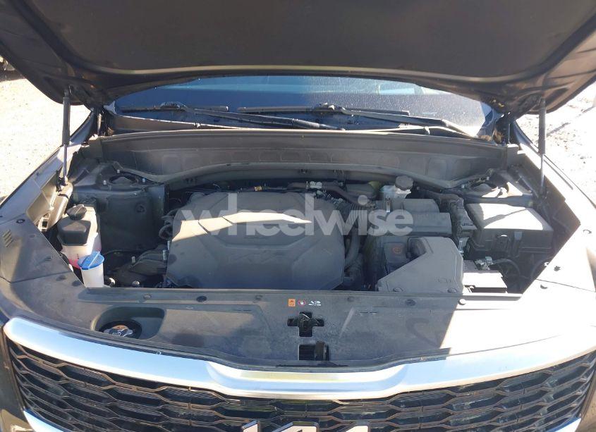 Photo 10 of 2022 Kia Telluride SX (VIN 5XYP5DHC1NG285427)