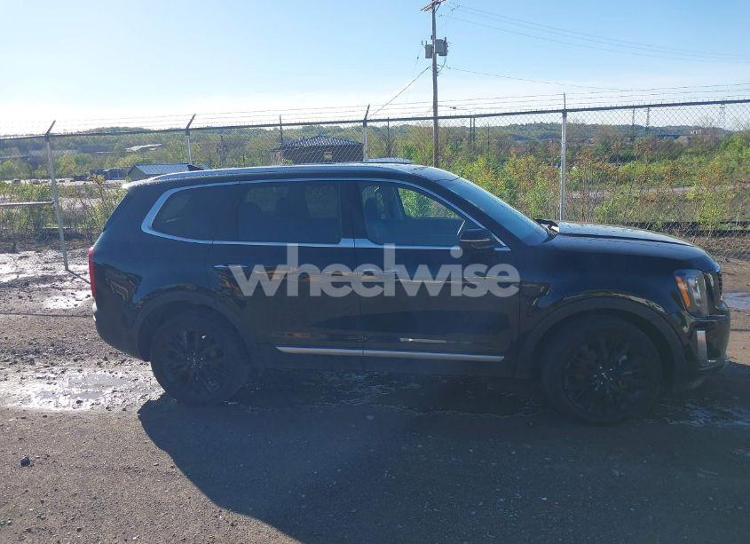 Photo 13 of 2022 Kia Telluride SX (VIN 5XYP5DHC1NG285427)