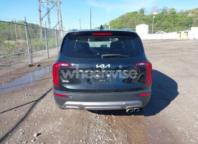 Photo 16 of 2022 Kia Telluride SX (VIN 5XYP5DHC1NG285427)
