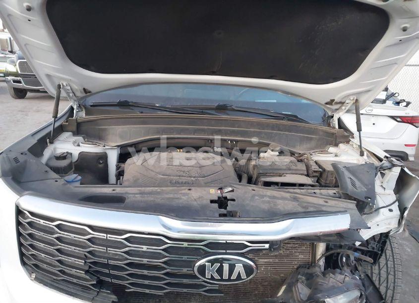 Photo 10 of 2021 Kia Telluride SX (VIN 5XYP5DHC2MG112353)