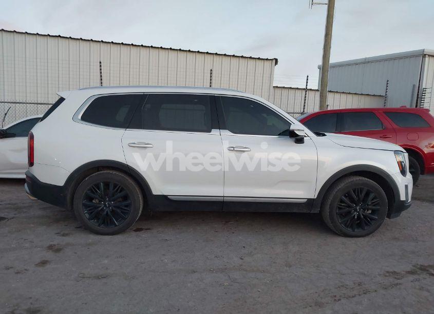 Photo 13 of 2021 Kia Telluride SX (VIN 5XYP5DHC2MG112353)