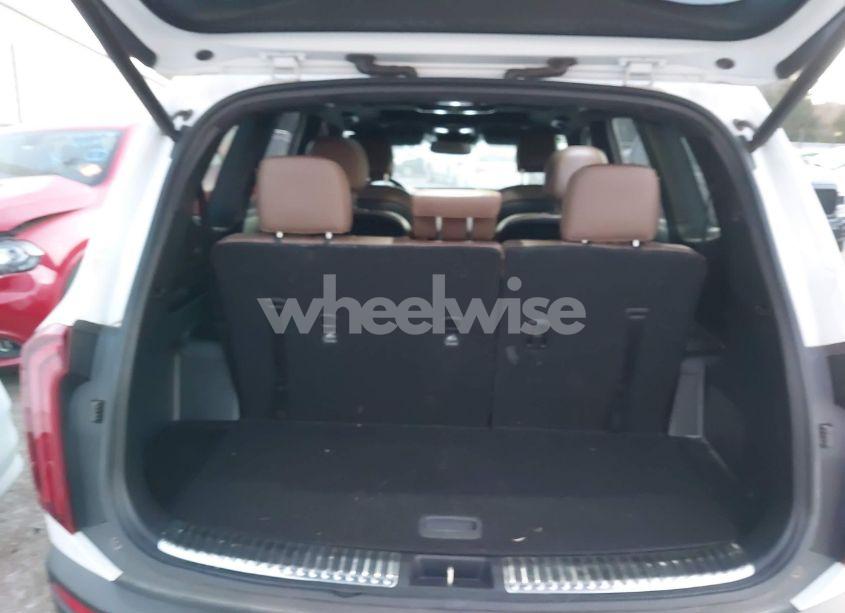 Photo 16 of 2021 Kia Telluride SX (VIN 5XYP5DHC2MG112353)