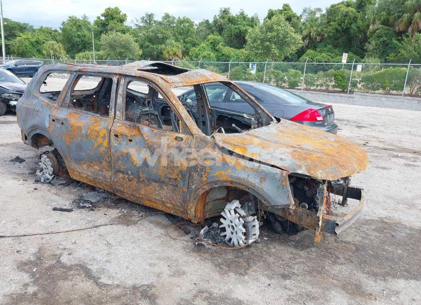 2021 Kia Telluride SX (VIN 5XYP5DHC2MG193063) main photo