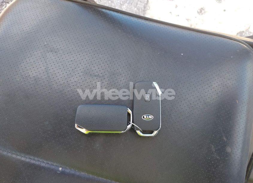 Photo 11 of 2021 Kia Telluride SX (VIN 5XYP5DHC2MG193063)