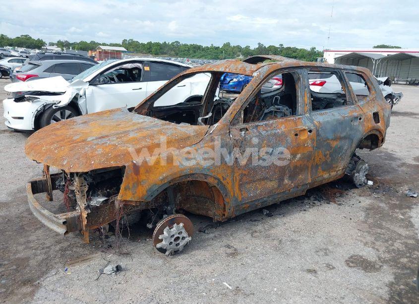 Photo 2 of 2021 Kia Telluride SX (VIN 5XYP5DHC2MG193063)