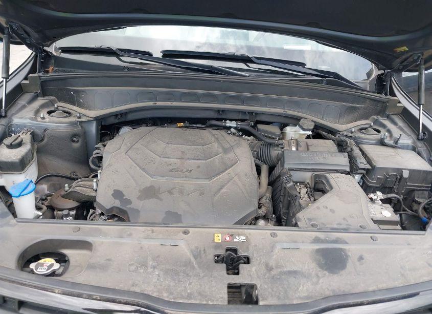 Photo 10 of 2022 Kia Telluride SX (VIN 5XYP5DHC2NG313381)