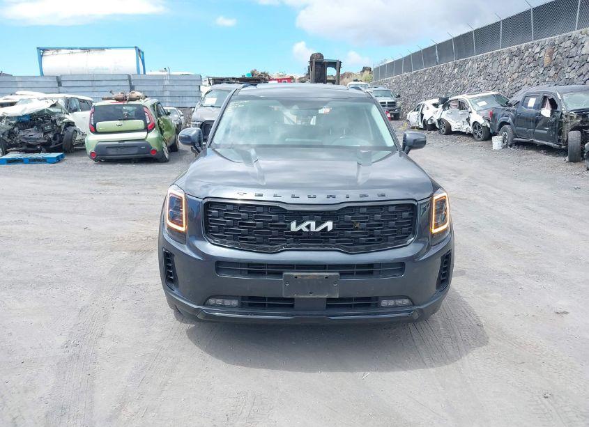 Photo 12 of 2022 Kia Telluride SX (VIN 5XYP5DHC2NG313381)