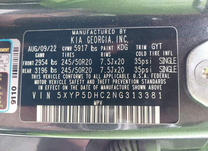 Photo 9 of 2022 Kia Telluride SX (VIN 5XYP5DHC2NG313381)