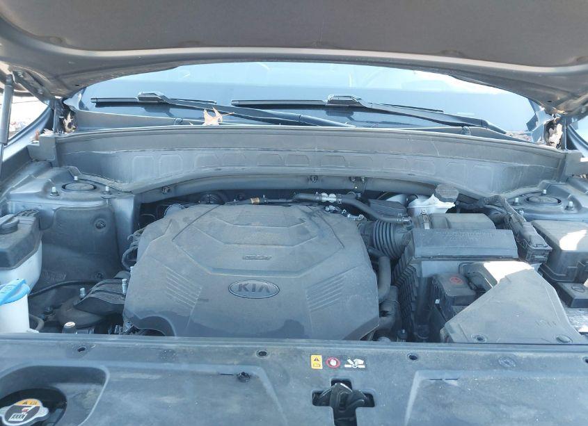 Photo 10 of 2020 Kia Telluride SX (VIN 5XYP5DHC3LG029495)