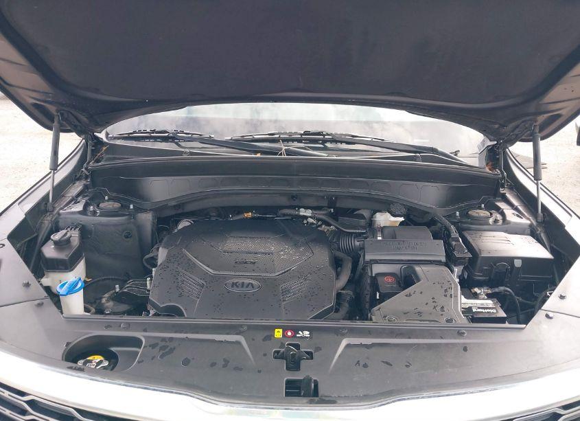 Photo 10 of 2021 Kia Telluride SX (VIN 5XYP5DHC3MG097149)