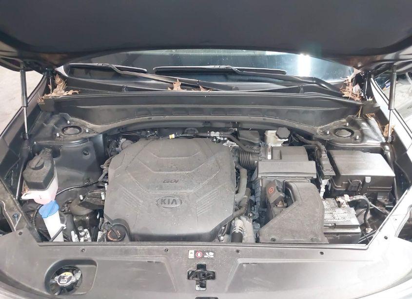 Photo 10 of 2021 Kia Telluride SX (VIN 5XYP5DHC3MG163991)