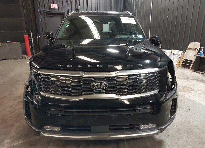 Photo 13 of 2021 Kia Telluride SX (VIN 5XYP5DHC3MG163991)