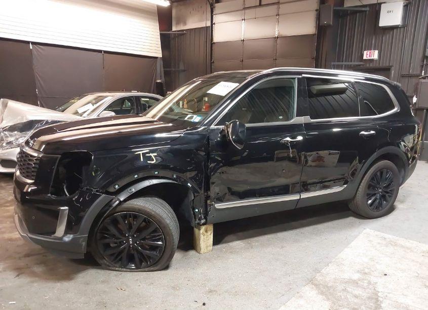 Photo 6 of 2021 Kia Telluride SX (VIN 5XYP5DHC3MG163991)