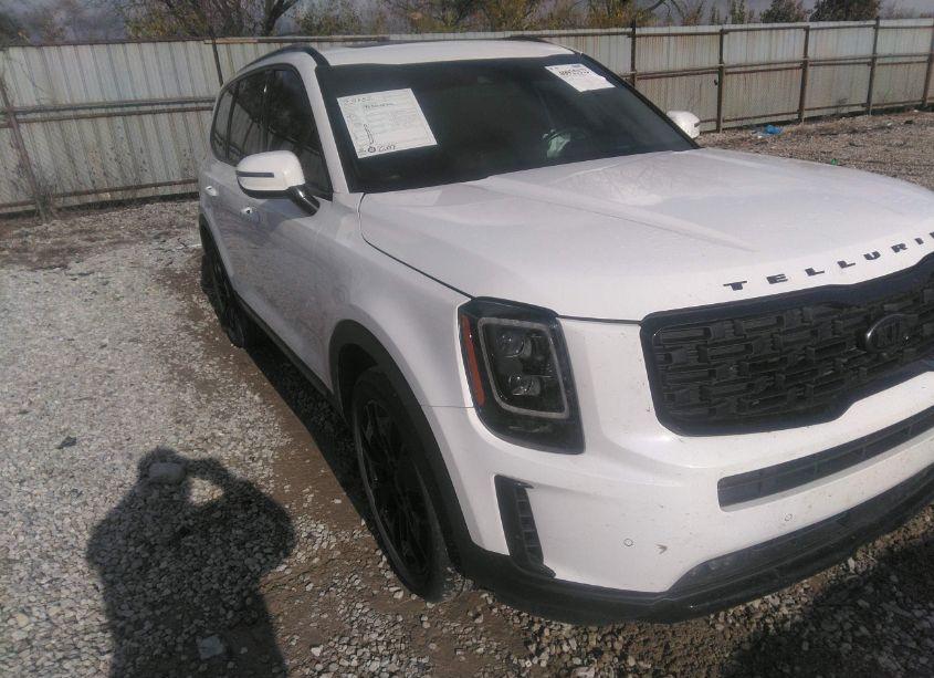 2021 Kia Telluride SX (VIN 5XYP5DHC3MG167653) main photo