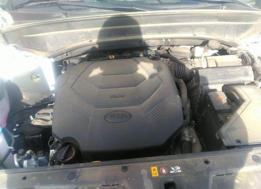 Photo 10 of 2021 Kia Telluride SX (VIN 5XYP5DHC3MG167653)