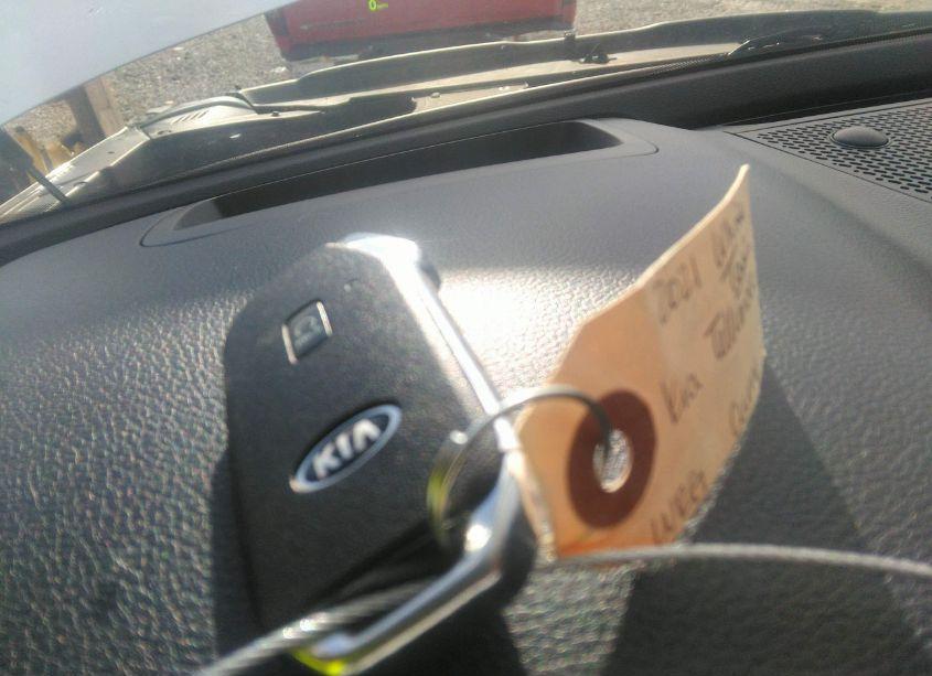 Photo 11 of 2021 Kia Telluride SX (VIN 5XYP5DHC3MG167653)