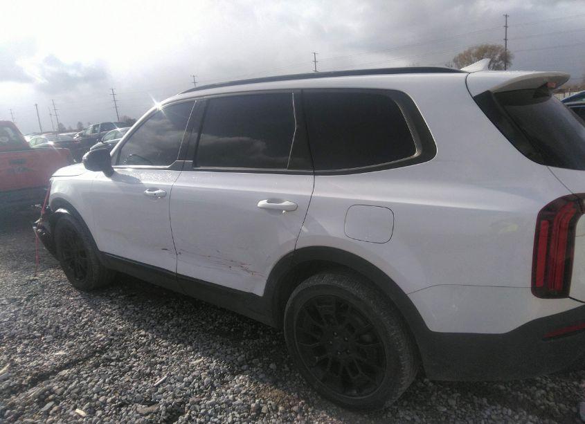 Photo 14 of 2021 Kia Telluride SX (VIN 5XYP5DHC3MG167653)