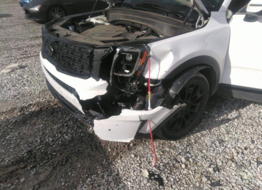 Photo 6 of 2021 Kia Telluride SX (VIN 5XYP5DHC3MG167653)