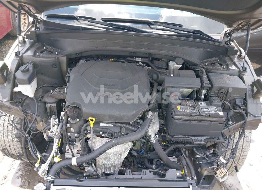 Photo 10 of 2022 Kia Telluride SX (VIN 5XYP5DHC3NG306763)