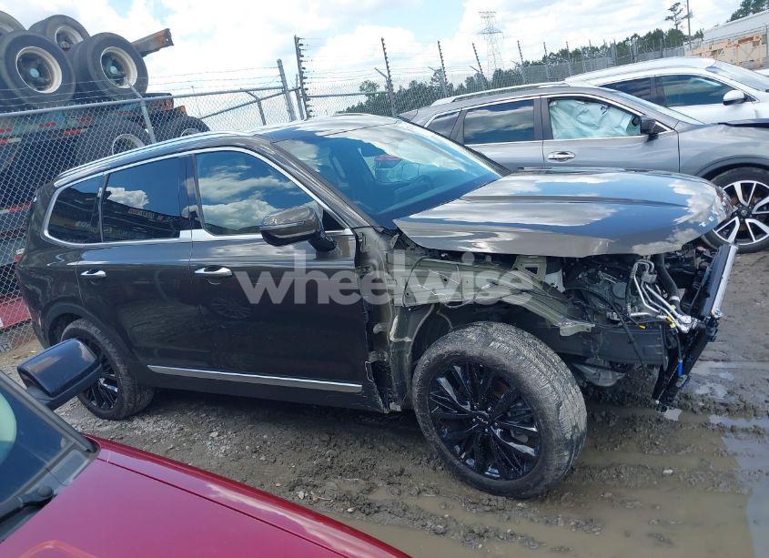 Photo 13 of 2022 Kia Telluride SX (VIN 5XYP5DHC3NG306763)