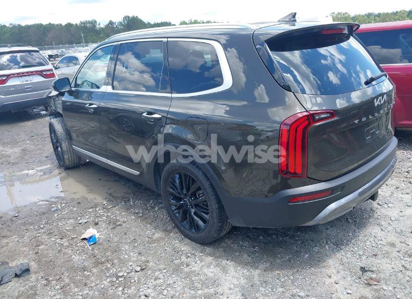 Photo 3 of 2022 Kia Telluride SX (VIN 5XYP5DHC3NG306763)
