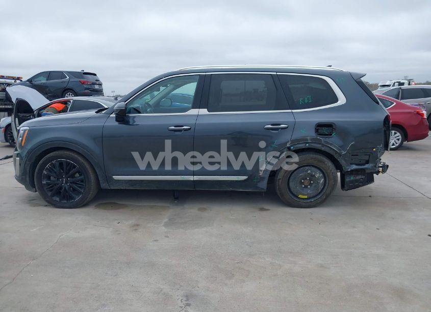 Photo 13 of 2022 Kia Telluride SX (VIN 5XYP5DHC3NG317214)