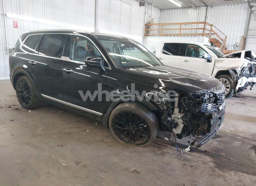 2020 Kia Telluride SX (VIN 5XYP5DHC4LG015220) main photo