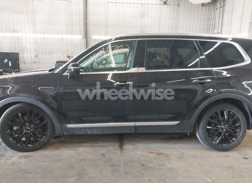 Photo 15 of 2020 Kia Telluride SX (VIN 5XYP5DHC4LG015220)