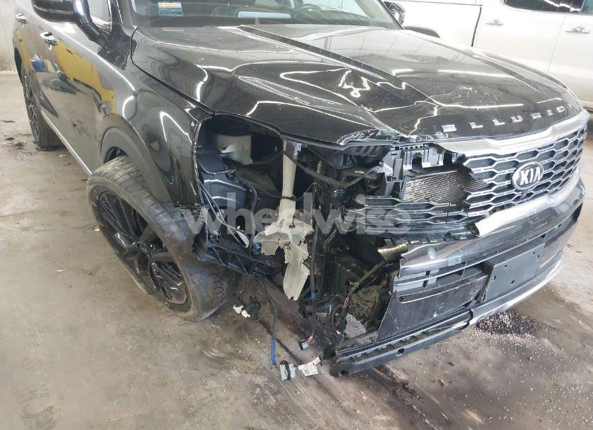 Photo 6 of 2020 Kia Telluride SX (VIN 5XYP5DHC4LG015220)