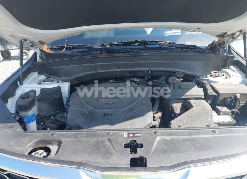 Photo 10 of 2020 Kia Telluride SX (VIN 5XYP5DHC4LG067625)